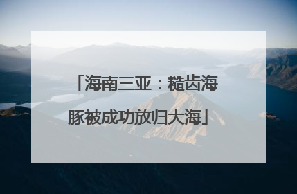 海南三亚：糙齿海豚被成功放归大海