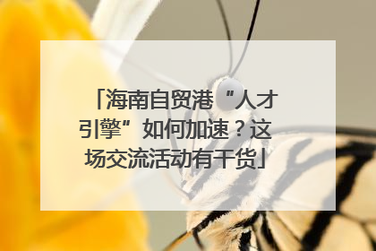海南自贸港“人才引擎”如何加速？这场交流活动有干货