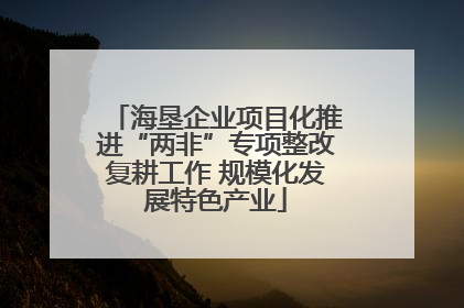 海垦企业项目化推进“两非”专项整改复耕工作 规模化发展特色产业