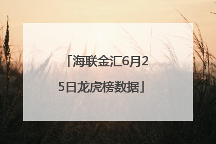 海联金汇6月25日龙虎榜数据