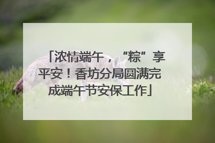 浓情端午，“粽”享平安！香坊分局圆满完成端午节安保工作