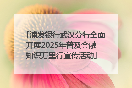 浦发银行武汉分行全面开展2025年普及金融知识万里行宣传活动