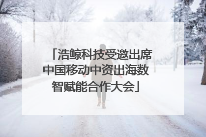 浩鲸科技受邀出席中国移动中资出海数智赋能合作大会