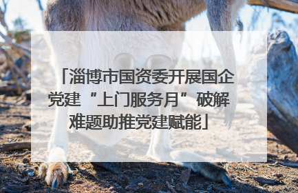 淄博市国资委开展国企党建“上门服务月”破解难题助推党建赋能