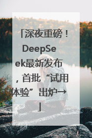 深夜重磅！DeepSeek最新发布，首批“试用体验”出炉→