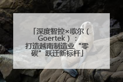 深度智控×歌尔（Goertek）：打造越南制造业“零碳”跃迁新标杆