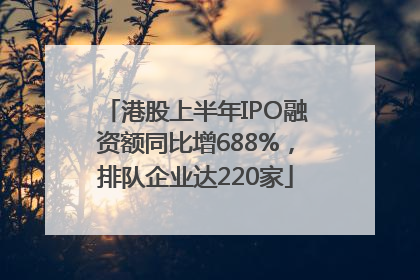 港股上半年IPO融资额同比增688%，排队企业达220家