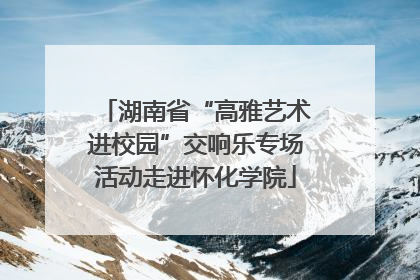 湖南省“高雅艺术进校园”交响乐专场活动走进怀化学院