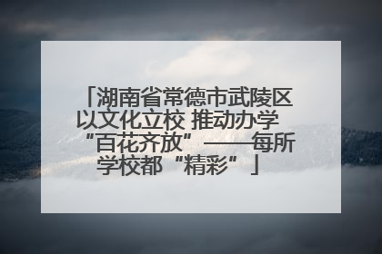 湖南省常德市武陵区以文化立校 推动办学“百花齐放”——每所学校都“精彩”