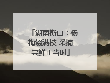 湖南衡山：杨梅缀满枝 采摘尝鲜正当时