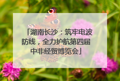 湖南长沙：筑牢电波防线，全力护航第四届中非经贸博览会
