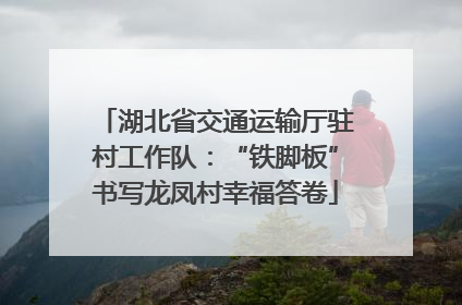 湖北省交通运输厅驻村工作队：“铁脚板”书写龙凤村幸福答卷