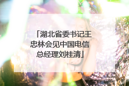 湖北省委书记王忠林会见中国电信总经理刘桂清