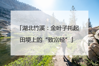 湖北竹溪：金叶子托起田埂上的“致富经”