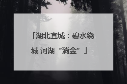 湖北宜城：碧水绕城 河湖“淌金”