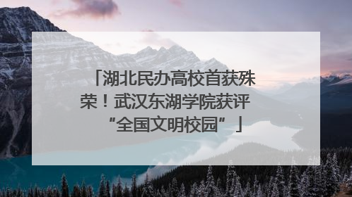 湖北民办高校首获殊荣！武汉东湖学院获评“全国文明校园”