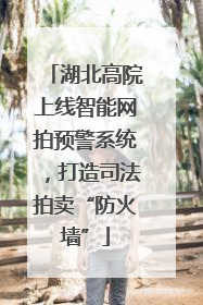 湖北高院上线智能网拍预警系统，打造司法拍卖“防火墙”