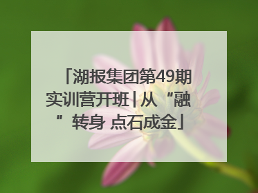 湖报集团第49期实训营开班│从“融”转身 点石成金