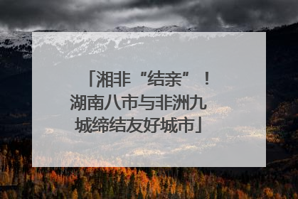 湘非“结亲”！湖南八市与非洲九城缔结友好城市