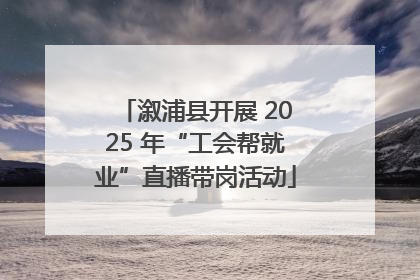 溆浦县开展 2025 年“工会帮就业”直播带岗活动