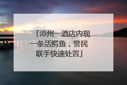 漳州一酒店内现一条活鳄鱼，警民联手快速处置