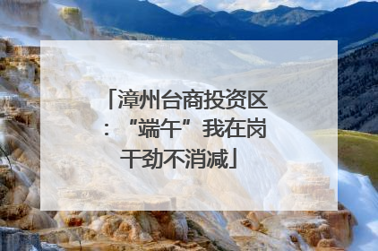 漳州台商投资区：“端午”我在岗 干劲不消减