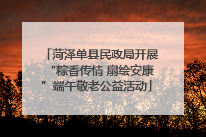 菏泽单县民政局开展“粽香传情 扇绘安康”端午敬老公益活动