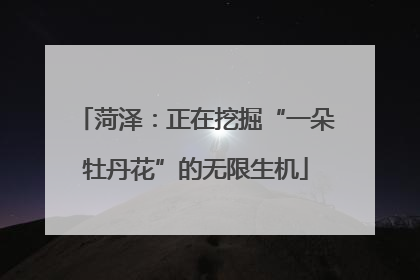 菏泽：正在挖掘“一朵牡丹花”的无限生机