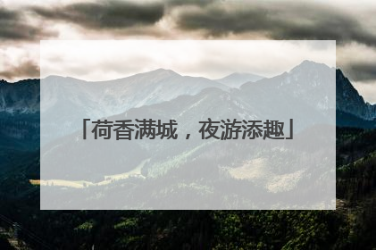 荷香满城，夜游添趣