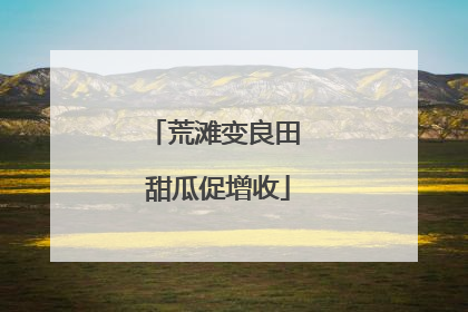 荒滩变良田 甜瓜促增收