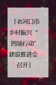 老河口市乡村振兴“四项行动”建设推进会召开