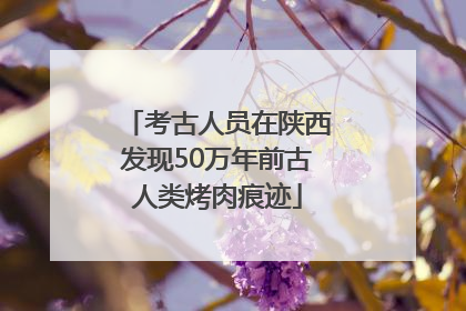 考古人员在陕西发现50万年前古人类烤肉痕迹