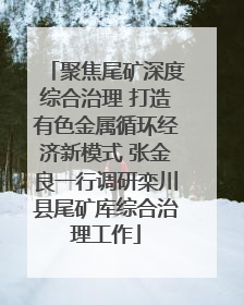 聚焦尾矿深度综合治理 打造有色金属循环经济新模式 张金良一行调研栾川县尾矿库综合治理工作