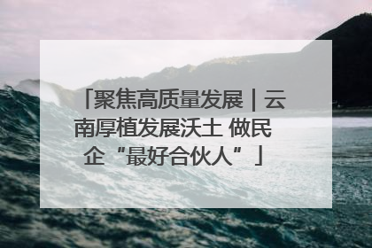聚焦高质量发展｜云南厚植发展沃土 做民企“最好合伙人”