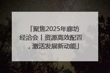 聚焦2025年廊坊经洽会丨资源高效配置，激活发展新动能