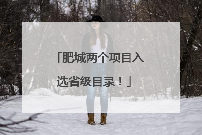 肥城两个项目入选省级目录！