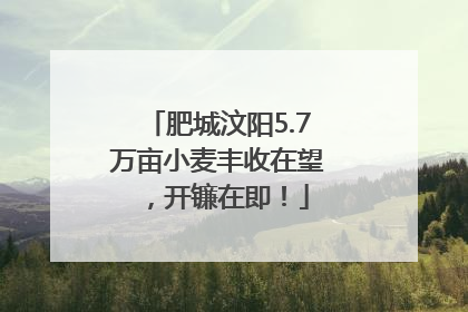 肥城汶阳5.7万亩小麦丰收在望，开镰在即！