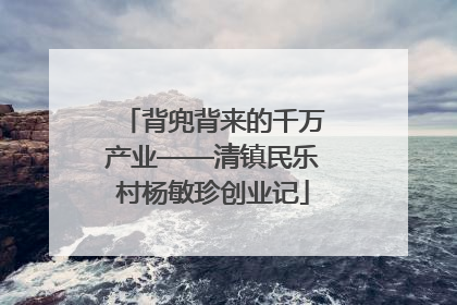 背兜背来的千万产业——清镇民乐村杨敏珍创业记
