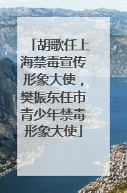 胡歌任上海禁毒宣传形象大使，樊振东任市青少年禁毒形象大使