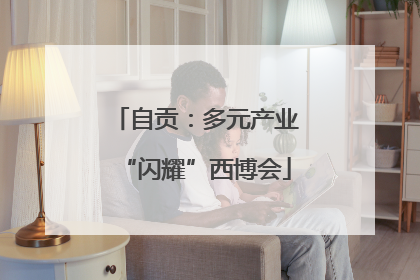 自贡：多元产业“闪耀”西博会