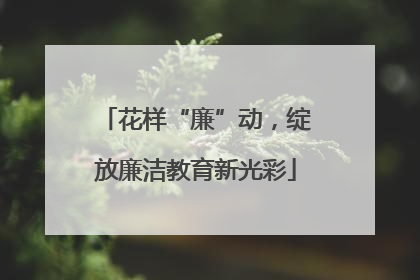花样“廉”动，绽放廉洁教育新光彩