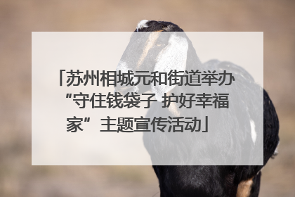 苏州相城元和街道举办“守住钱袋子 护好幸福家”主题宣传活动