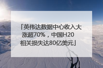 英伟达数据中心收入大涨超70%，中国H20相关损失达80亿美元