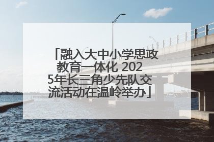 融入大中小学思政教育一体化 2025年长三角少先队交流活动在温岭举办