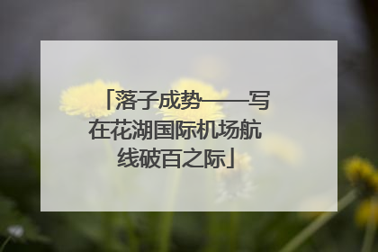 落子成势——写在花湖国际机场航线破百之际