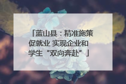 蓝山县：精准施策促就业 实现企业和学生“双向奔赴”
