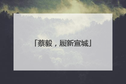 蔡毅，履新宣城