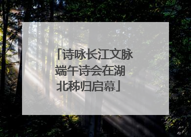 诗咏长江文脉 端午诗会在湖北秭归启幕