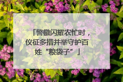 警徽闪耀农忙时，仪征多措并举守护百姓“粮袋子”