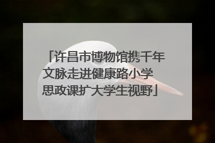 许昌市博物馆携千年文脉走进健康路小学 思政课扩大学生视野
